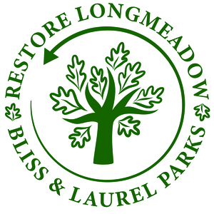Team Page: Friends of Bliss and Laurel Park - Cooley Brook: Longmeadow, MA (OPEN)